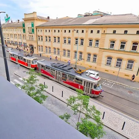 The Peony In Smichov, 5 *
