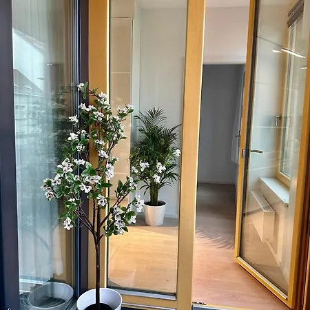 The Peony In Smichov, 5